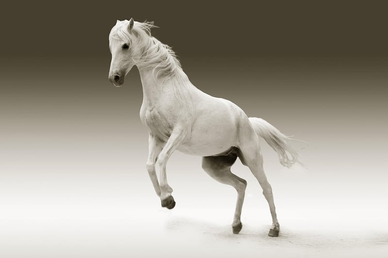Mystical horse in a dreamlike setting