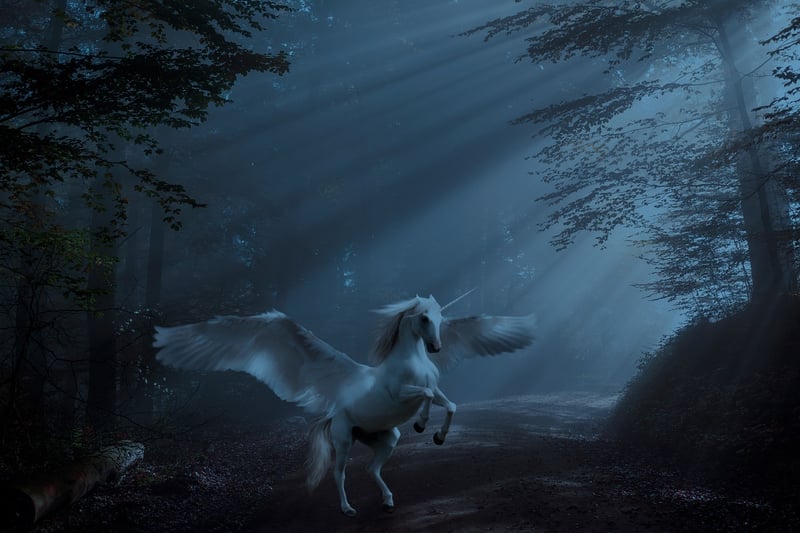 Unicorn Magic